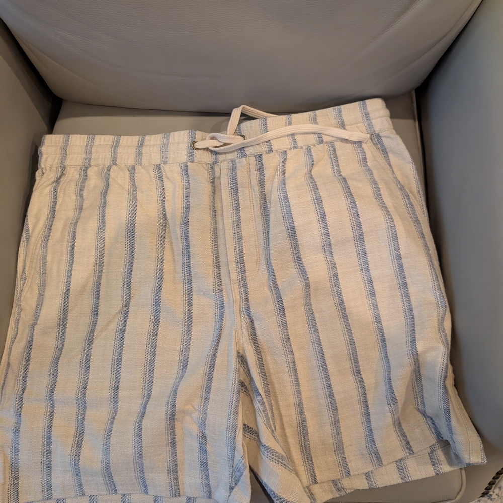 Marine Layer Blue and White Striped Men's Shorts